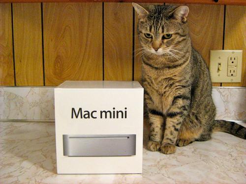 photo of Apple To Introduce New Mac Minis Alongside iPad Mini, 13″ MacBook Pro image