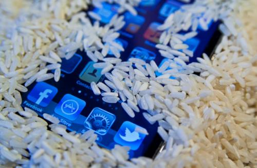 photo of How not to use rice to save your iPhone image