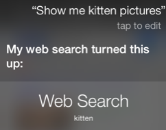 photo of This one weird Siri feature turned me into a Bing user image
