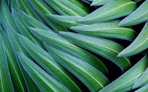 photo of 12 Stunningly Beautiful Wallpapers Hidden in Plain Sight on Apple.com image