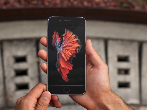 photo of iPhone 6s still wallpaper images image