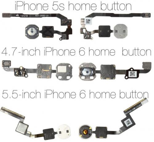photo of Leaked iPhone 6 cables reveal design differences for both models image