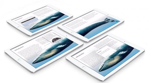 photo of Apple teases ‘late spring’ launch of new Business Manager platform for enterprise users image