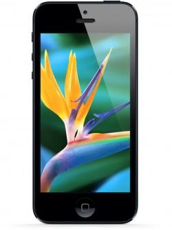 photo of iPhone 5S Display Rumored to Carry Twice as Many Pixels as iPhone 5 image