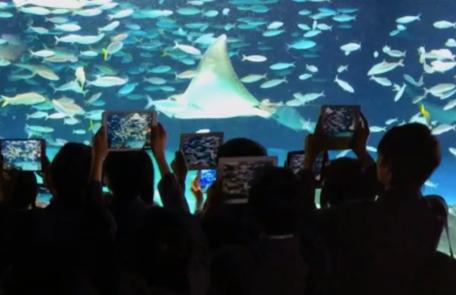 photo of Apple's tribute to the Mac shot with iPhones image