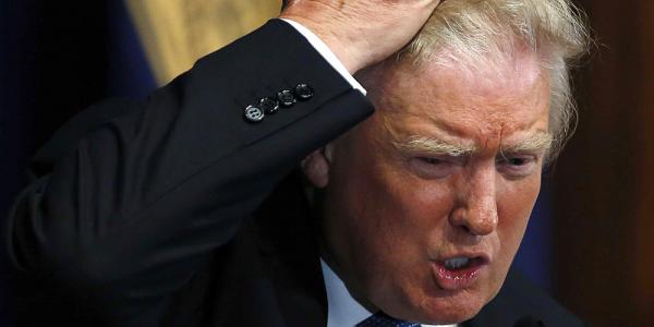 photo of Trump reportedly uses an iPad for reading – but he calls it ‘the flat one’ image