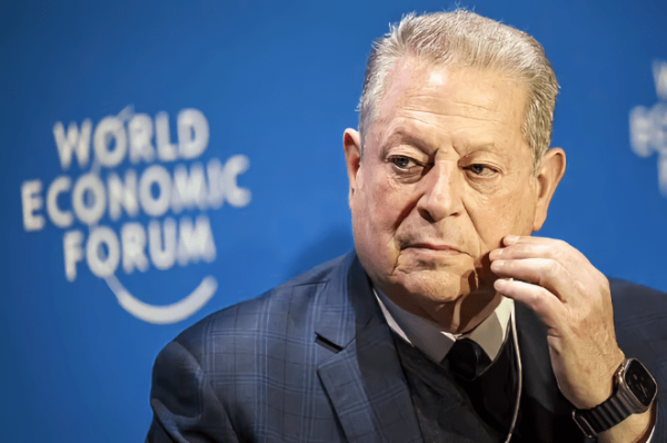 photo of Epstein ‘sex slave’ Virginia Giuffre saw Apple Board member Al Gore on ‘pedo island,’ docs reveal image