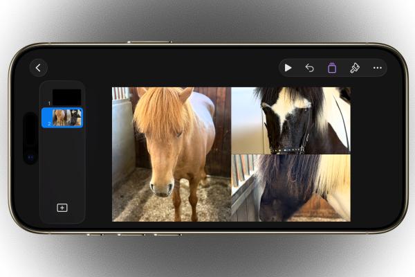 How to create a photo collage on your…