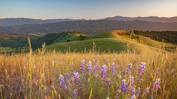 photo of Apple co-founder selling 14,100-acre property to The Wildlands Conservancy image
