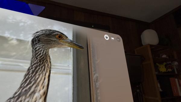 photo of Spatial Scenes & Spatial Photos add depth to your memories, but in different ways image