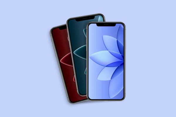 Gradient glass flower petals wallpaper&hellip;