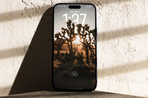 Sunny Joshua Tree National Park iPhone&hellip;