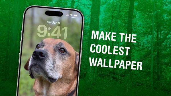 How to make your photos 3D in iOS 26