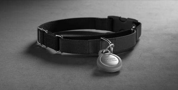 photo of Nomad Announces 'Rugged Keychain' for AirTag, Includes Add-On Engraving Option for Pet ID Tags image