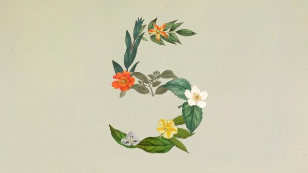 Anthropic Launches Claude Sonnet 5 With…