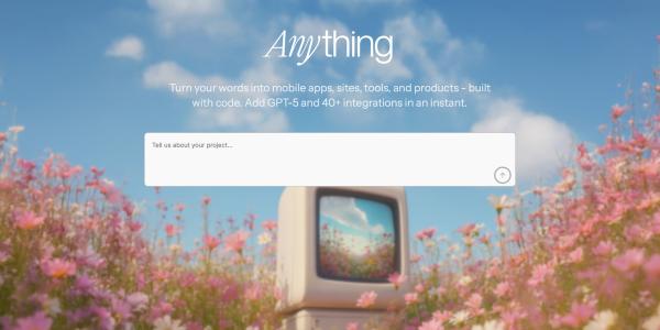 Developers behind vibe coding app…