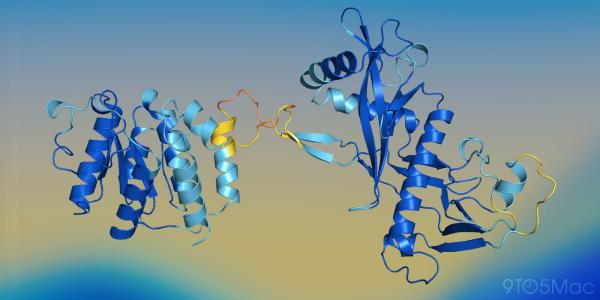 photo of Apple researchers develop SimpleFold, a lightweight AI for protein folding prediction image