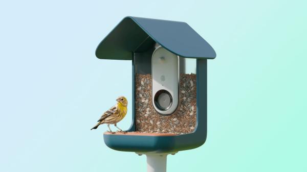 photo of Bird Buddy is a Fun iPhone-Connected Smart Bird Feeder image