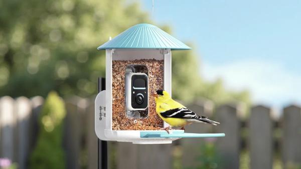 Birdfy Review: Smart Bird Feeders and…