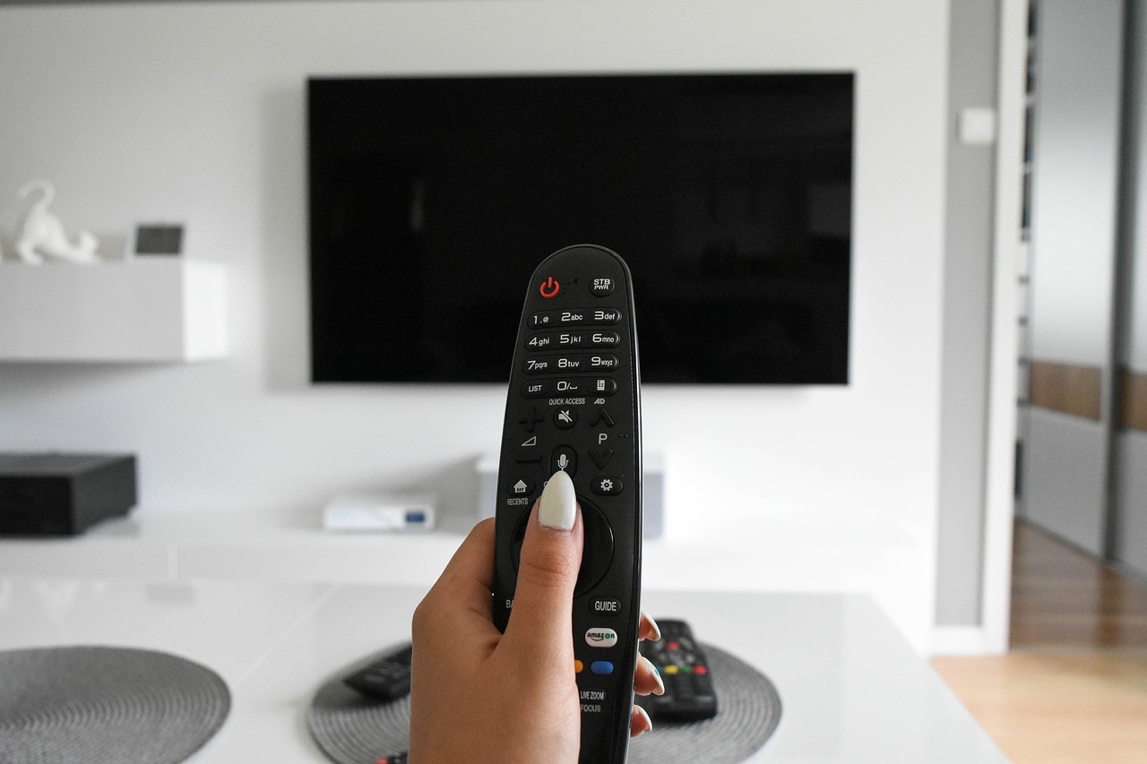 remote and tv